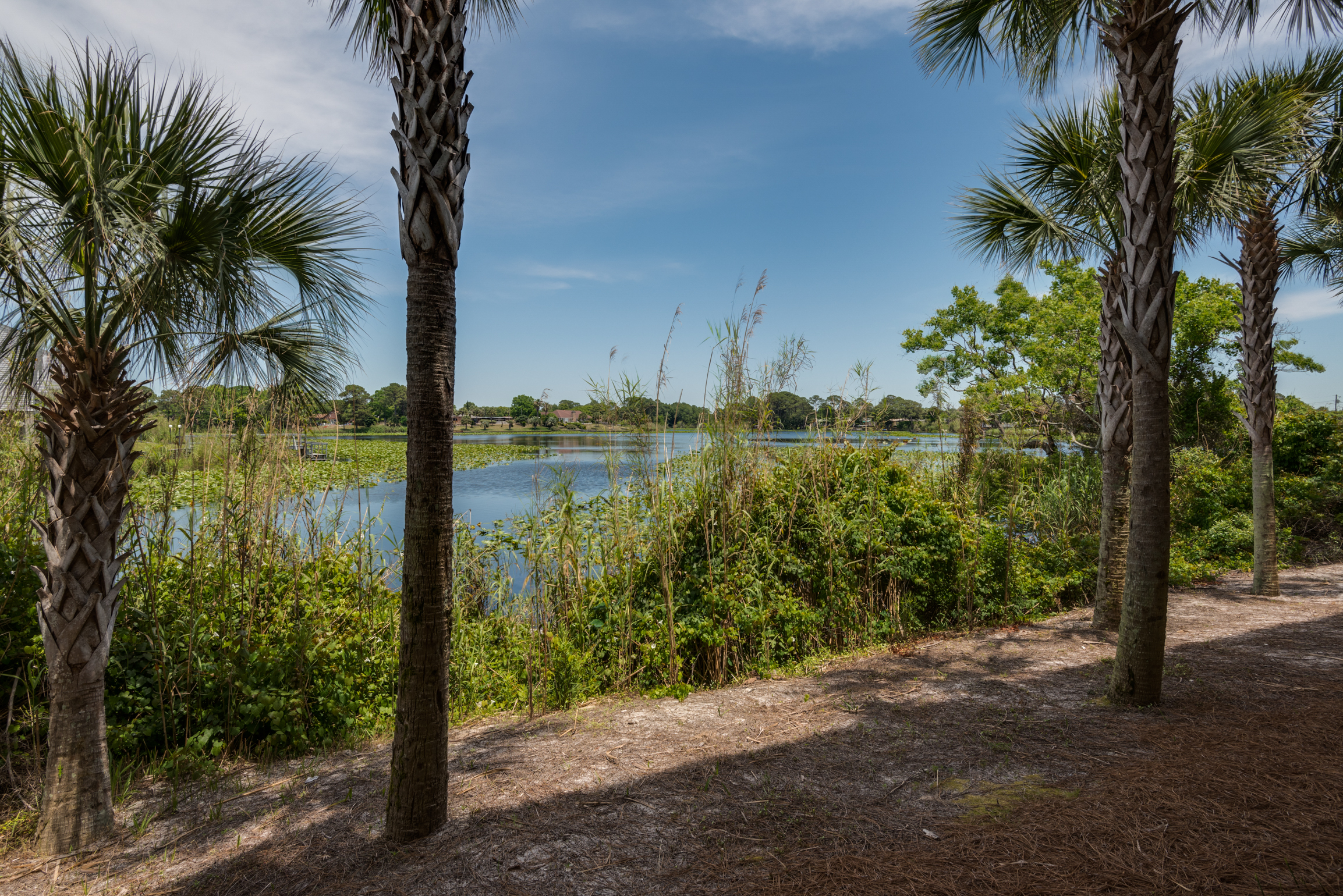 Panama City Beach Condo 986302