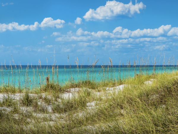 Three bedroom Panama City Beach Exceptional Condo