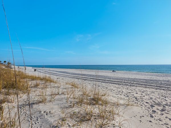 Panama City Beach Condo 986380