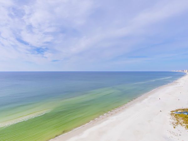 Panama City Beach Condo 986403