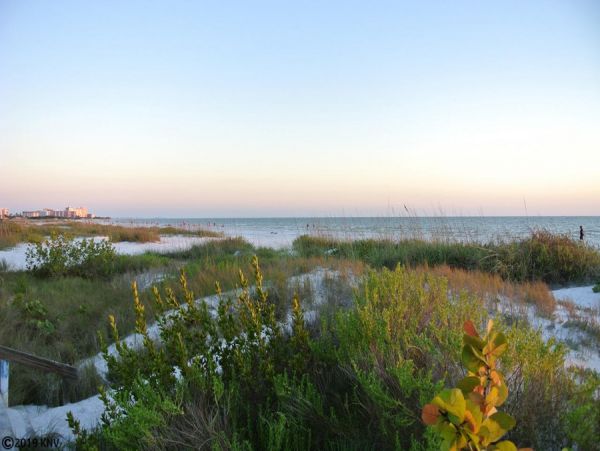 Fort Myers Condo 986417