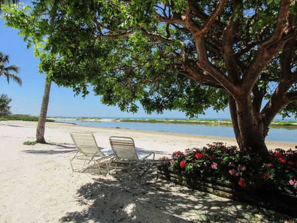 Fort Myers Condo 986434