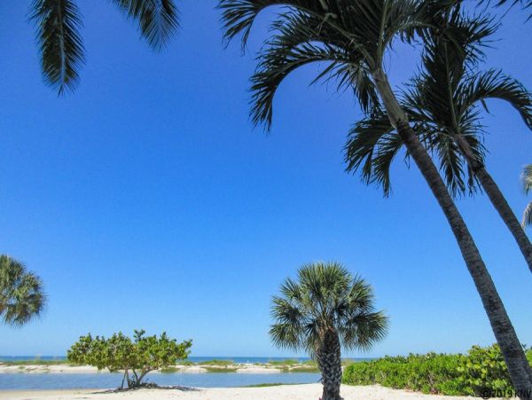 Fort Myers Condo 986434