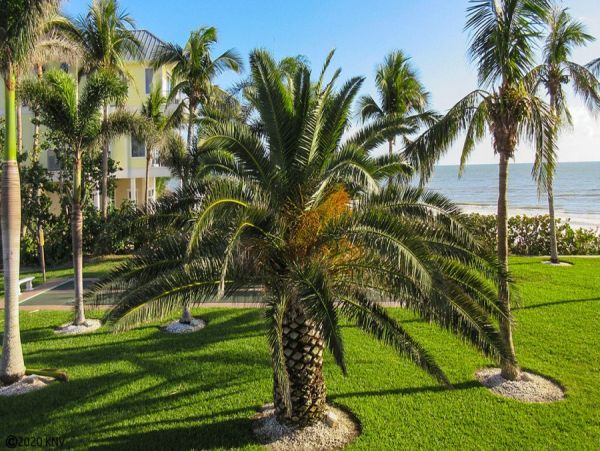 Fort Myers Condo 986444