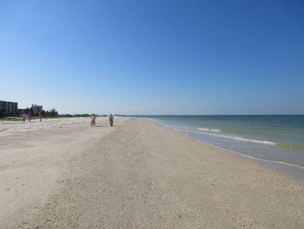 Fort Myers Condo 986457