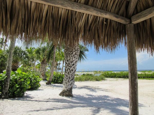 Fort Myers Condo 986460