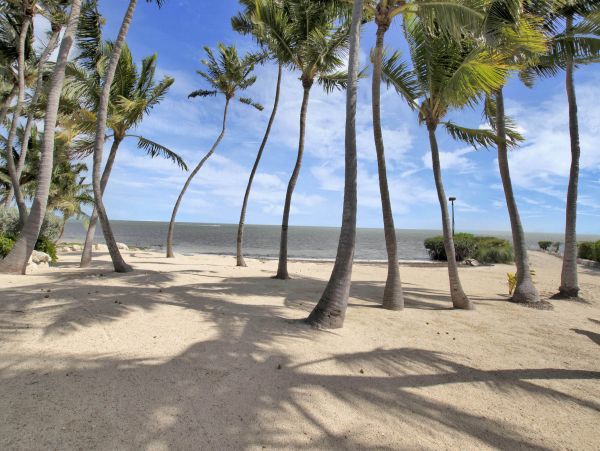 The Florida Keys Home 986483