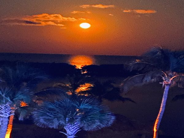 The Florida Keys Condo 986486