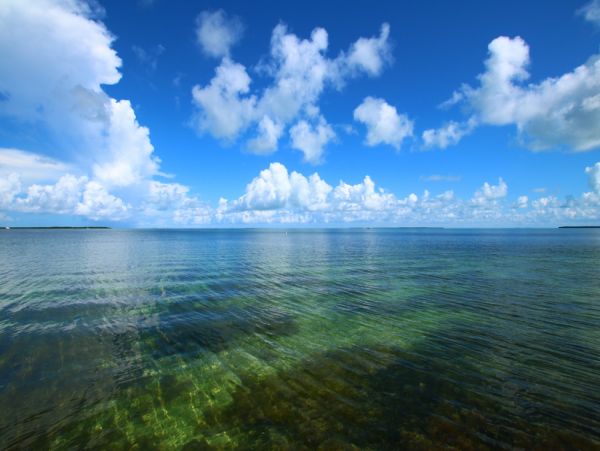 The Florida Keys Home 986496