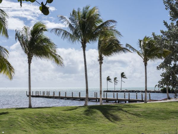 The Florida Keys Condo 986505