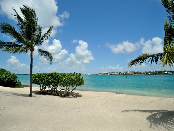 Your Tropical Paradise Awaits Key West Vacation Rental
