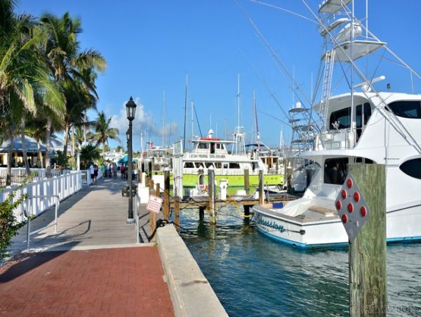 The Florida Keys Home 986593