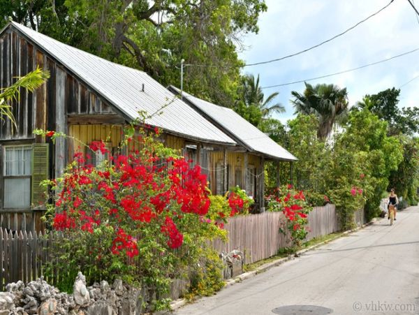The Florida Keys Home 986596