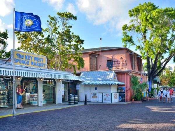The Florida Keys Home 986596