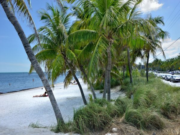The Florida Keys Home 986596