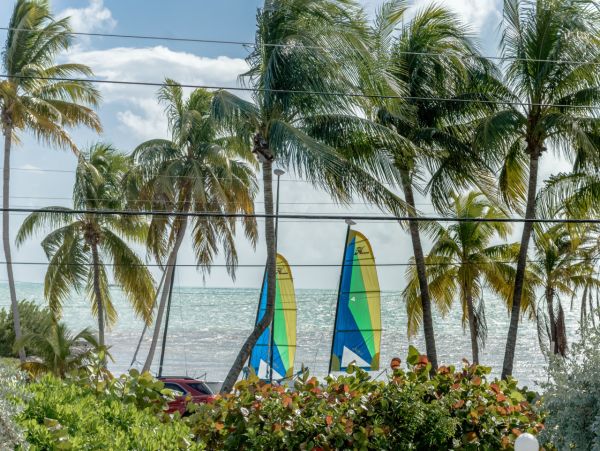 Right Across The Street From The Beach