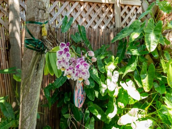 The Florida Keys Home 986614