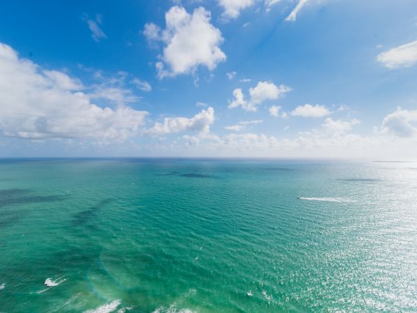 Miami Beach Condo 986798