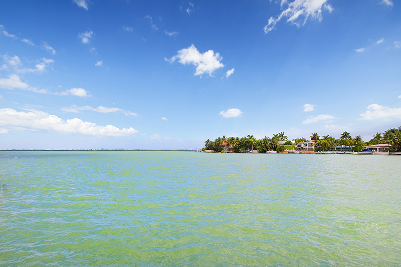 Miami Beach Home 986817