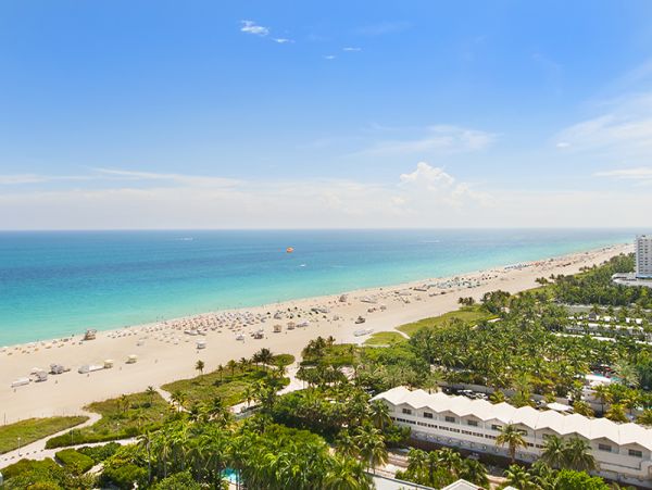 Miami Beach Condo 986824