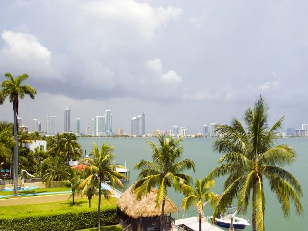 Miami Beach Home 986827