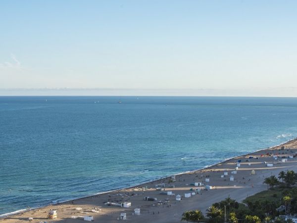 Miami Beach Condo 986841