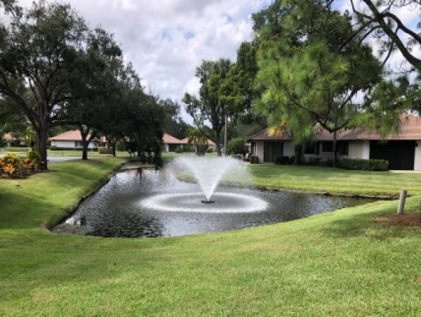 Palm Beach Home 986875