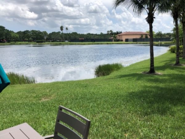 Palm Beach Home 986876