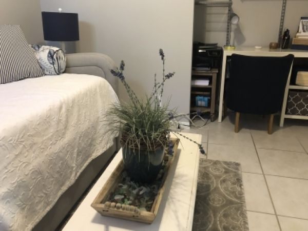 Palm Beach Home 986881