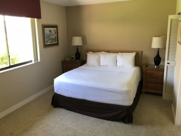Palm Beach Home 986883