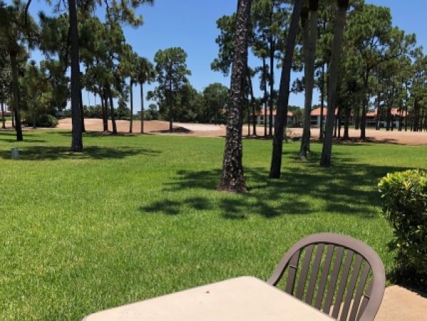 Palm Beach Home 986883