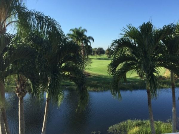 Palm Beach Home 986886