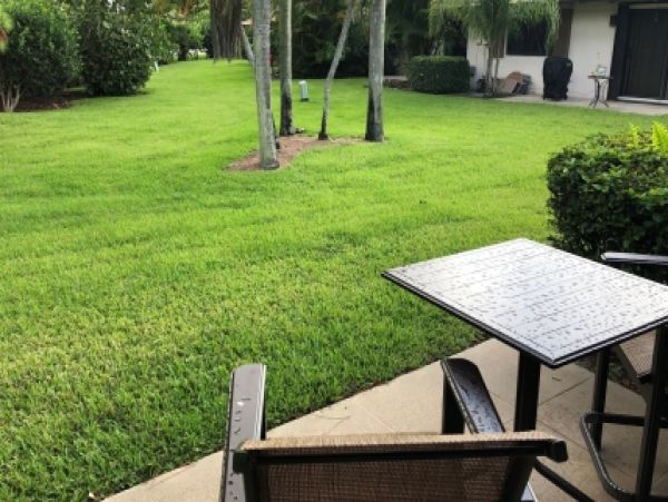 Palm Beach Home 986888