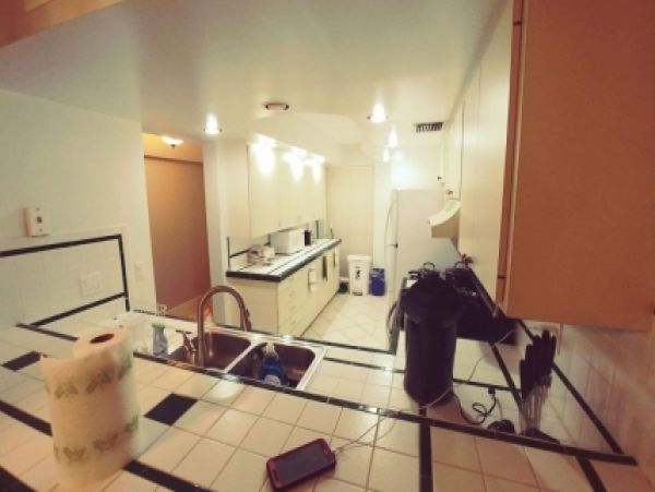 Palm Beach Home 986889