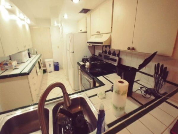 Palm Beach Home 986889
