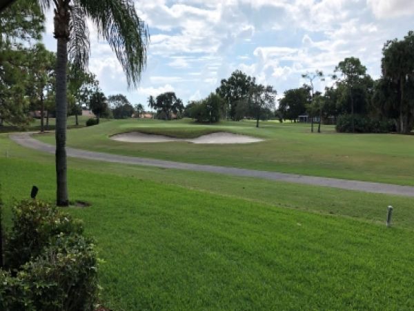 Palm Beach Home 986890