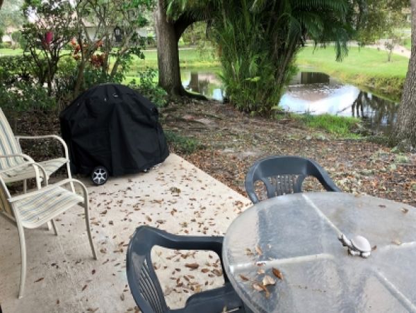 Palm Beach Home 986891