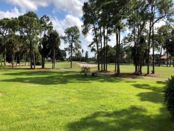 Palm Beach Home 986892
