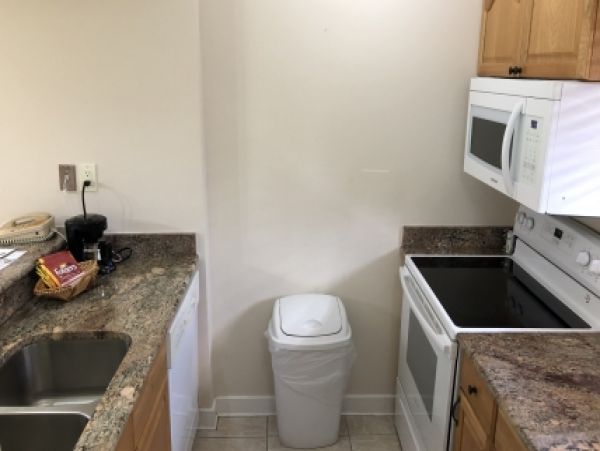 Palm Beach Home 986893