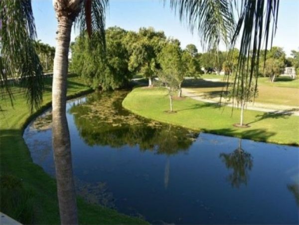 Palm Beach Home 986894