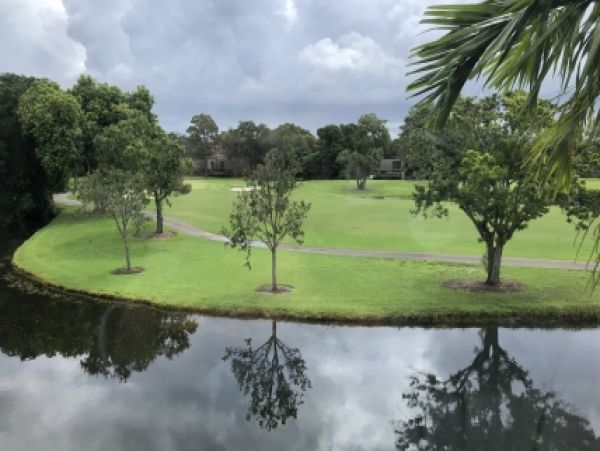 Palm Beach Home 986894