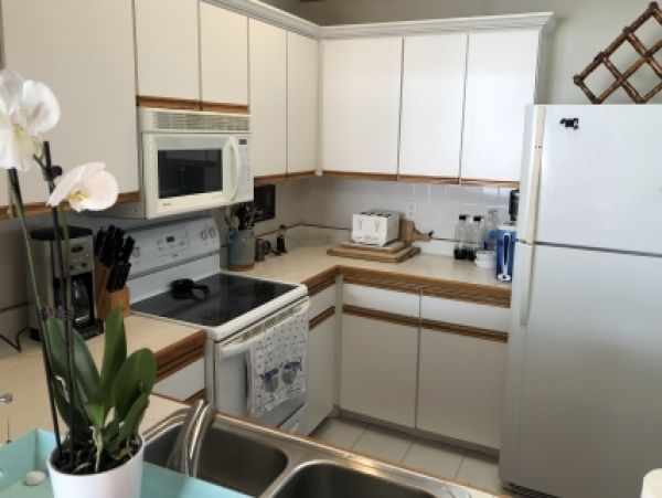 Palm Beach Home 986895