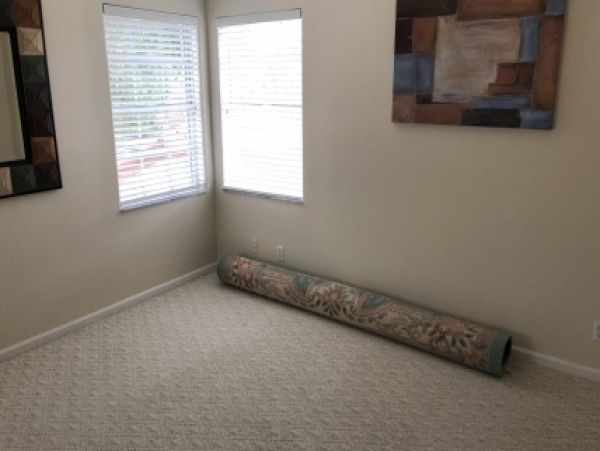 Palm Beach Home 986896