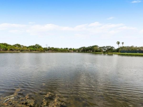 Palm Beach Home 986902