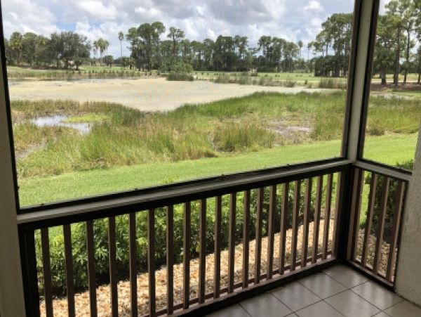 Palm Beach Home 986904