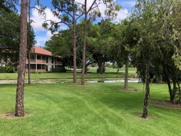 Palm Beach Home 986904