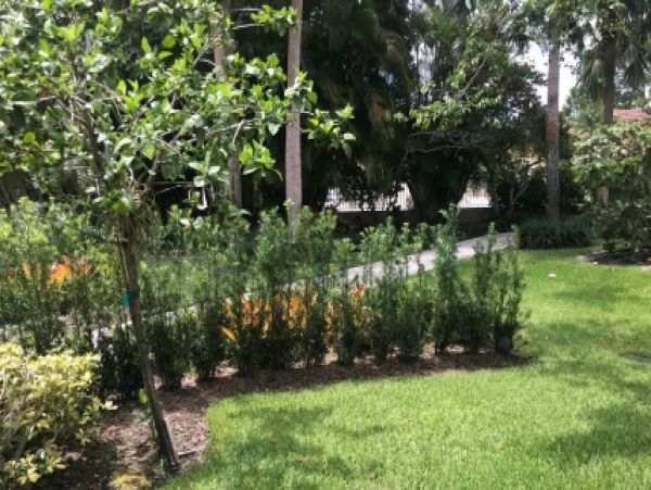 Palm Beach Home 986914