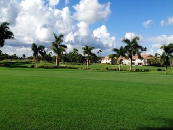 Palm Beach Home 986920