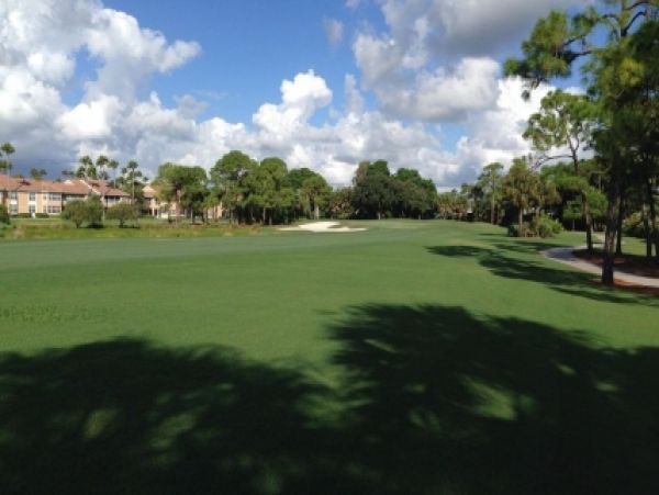 Palm Beach Home 986920