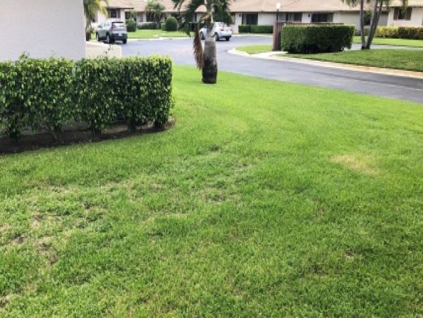 Palm Beach Home 986924